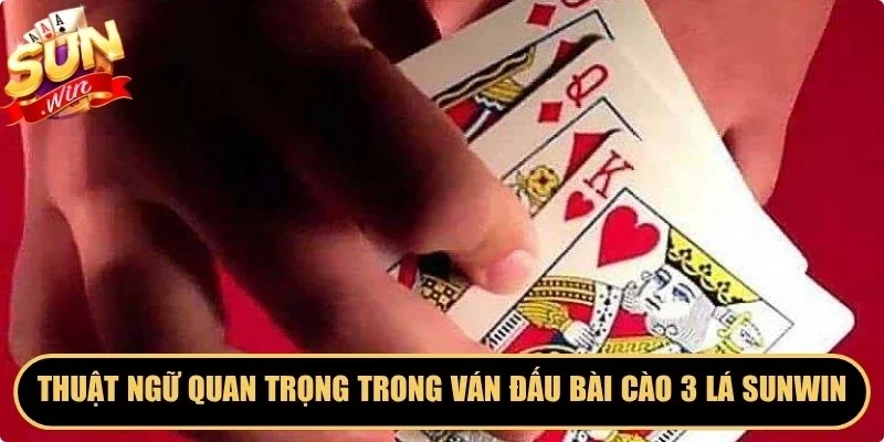 Thuật ngữ quan trọng trong ván đấu bài cào 3 lá Sunwin