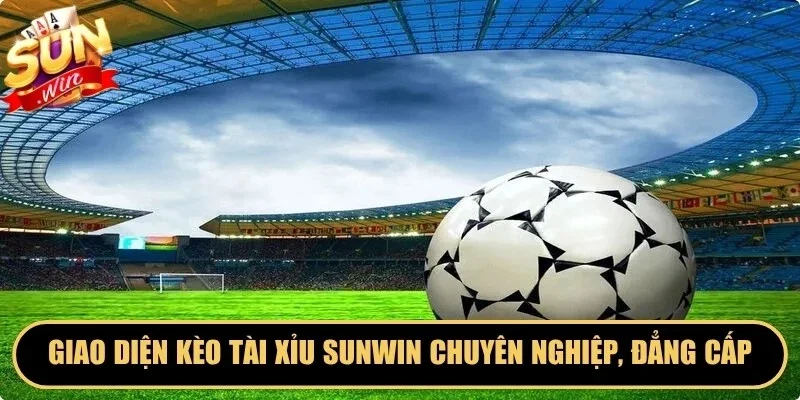 Giao diện kèo tài xỉu Sunwin chuyên nghiệp, đẳng cấp
